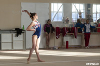 Первенство ЦФО по спортивной гимнастике среди  юниоров, Фото: 25