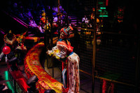 Новое грандиозное шоу Гии Эрадзе «Королевский цирк» стартует в Тульском цирке, Фото: 22