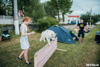 Всероссийская выставка собак в Туле, Фото: 126