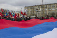 В Туле проходит митинг в поддержку Крыма, Фото: 9