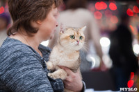 Международная выставка кошек в ТРЦ "Макси", Фото: 108
