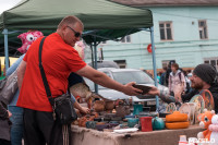 Фестиваль в Крапивке-2021, Фото: 40