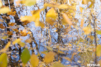 Золотая осень в Ясной Поляне, Фото: 19