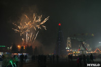 Открытие главной ёлки на площади Ленина, Фото: 59