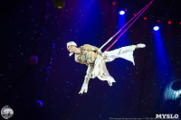 Программа Тропик-шоу в Тульском цирке, Фото: 2