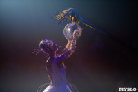 Шоу фонтанов «13 месяцев»: успей увидеть уникальную программу в Тульском цирке, Фото: 47