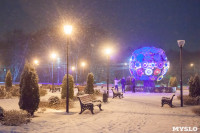 Зимняя сказка в Центральном парке, Фото: 15
