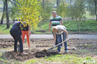 В Пролетарском районе высадили молодые деревья, Фото: 13