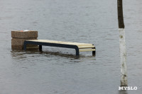 Упа в Туле затопила детскую площадку и кафе на Пролетарской набережной, Фото: 15