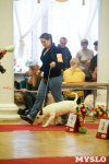 В Туле прошла Всероссийская выставка собак, Фото: 35