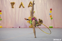 Соревнования по художественной гимнастике "Тульский сувенир", Фото: 90