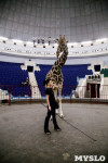 Цирк больших зверей в Туле: милый жираф Багир готов целовать и удивлять зрителей, Фото: 13