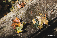 Всехсвятское кладбище, Фото: 122