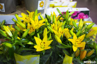 Леруа Мерлен Цветы к празднику, Фото: 19