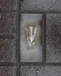 , Фото: 5