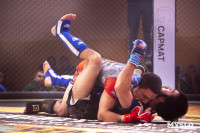 Турнир по ММА памяти Алексея Калинина собрал лучших бойцов страны: фоторепортаж, Фото: 51