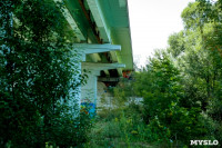Рейд Myslo: в каком состоянии Тульские мосты, Фото: 116