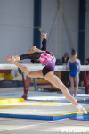 Первенство ЦФО по спортивной гимнастике среди  юниоров, Фото: 55