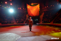 День Победы в Тульском цирке: большой концерт и патриотический спектакль, Фото: 182