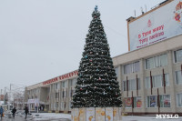 Новогодняя ёлка в Советском районе, Фото: 3