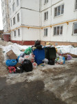 «Подъздные пути расчистили, а мусор не убирают»: жители улицы Некрасова жалуются на работу «Хартии» , Фото: 2