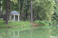 Загрязнение прудв в Платоновском парке, Фото: 14