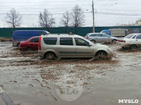 Потоп на Демидовской плотине, 12.04.19, Фото: 3