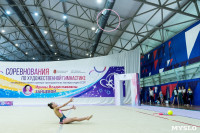 Тула провела крупный турнир по художественной гимнастике, Фото: 103