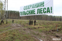 Высадка деревьев в Белевском лесничестве, 4.05.2016, Фото: 1