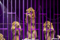 Шоу фонтанов «13 месяцев» в Тульском цирке – подарите себе и близким путевку в сказку!, Фото: 64
