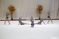 Соревнования по художественной гимнастике "Осенний вальс", Фото: 48