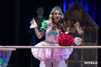 Цирковое шоу Жар птица, Фото: 25