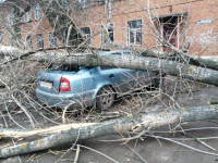 Штормовой ветер в Тульской области валил деревья, заборы и повредил крыши, Фото: 28