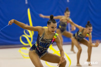 В Туле стартовало первенство Центрального федерального округа по художественной гимнастике, Фото: 39