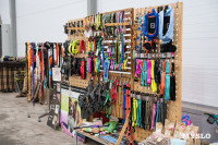 Сиба-ину, шпицы и алабаи: в Туле состоялась выставка собак, Фото: 22