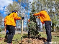 ЕВРАЗ посадил в Пролетарском парке 100 деревьев, Фото: 31