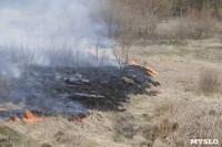 В Мясново загорелось поле, Фото: 4