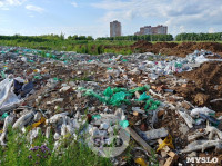 Свалка строительного мусора в Левобережном, Фото: 3