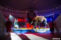 Тульский цирк, Фото: 69