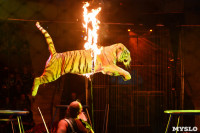Цирковое шоу, Фото: 120