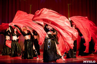 В Туле показали шоу восточных танцев, Фото: 139