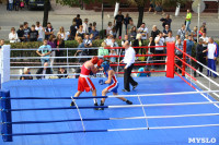 Матчевая встреча по боксу между спортсменами Тулы и Керчи. 13 сентября 2014, Фото: 17
