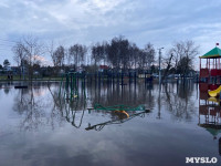 В Туле затопило Баташевский сад, Фото: 6