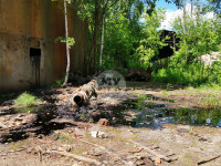 В Пролетарском районе Тулы ликвидируют разлив мазута, Фото: 3