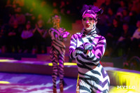 Цирковое шоу Жар птица, Фото: 79