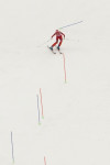 Горнолыжный спорт, женщины. Олимпиада в Сочи, Фото: 10