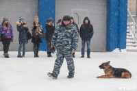 "Студенческий десант" - 2017., Фото: 5