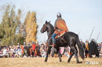 644-я годовщина Куликовской битвы, Фото: 183