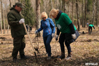 Посадка деревье в Ясной Поляне. 17.04.2015, Фото: 42