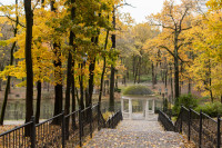 деревья в Платоновском парке , Фото: 8